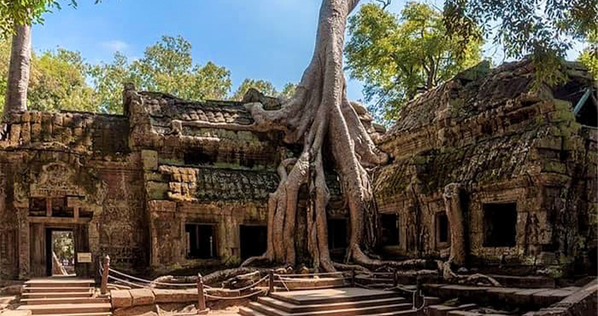 Ta Prohm Temple